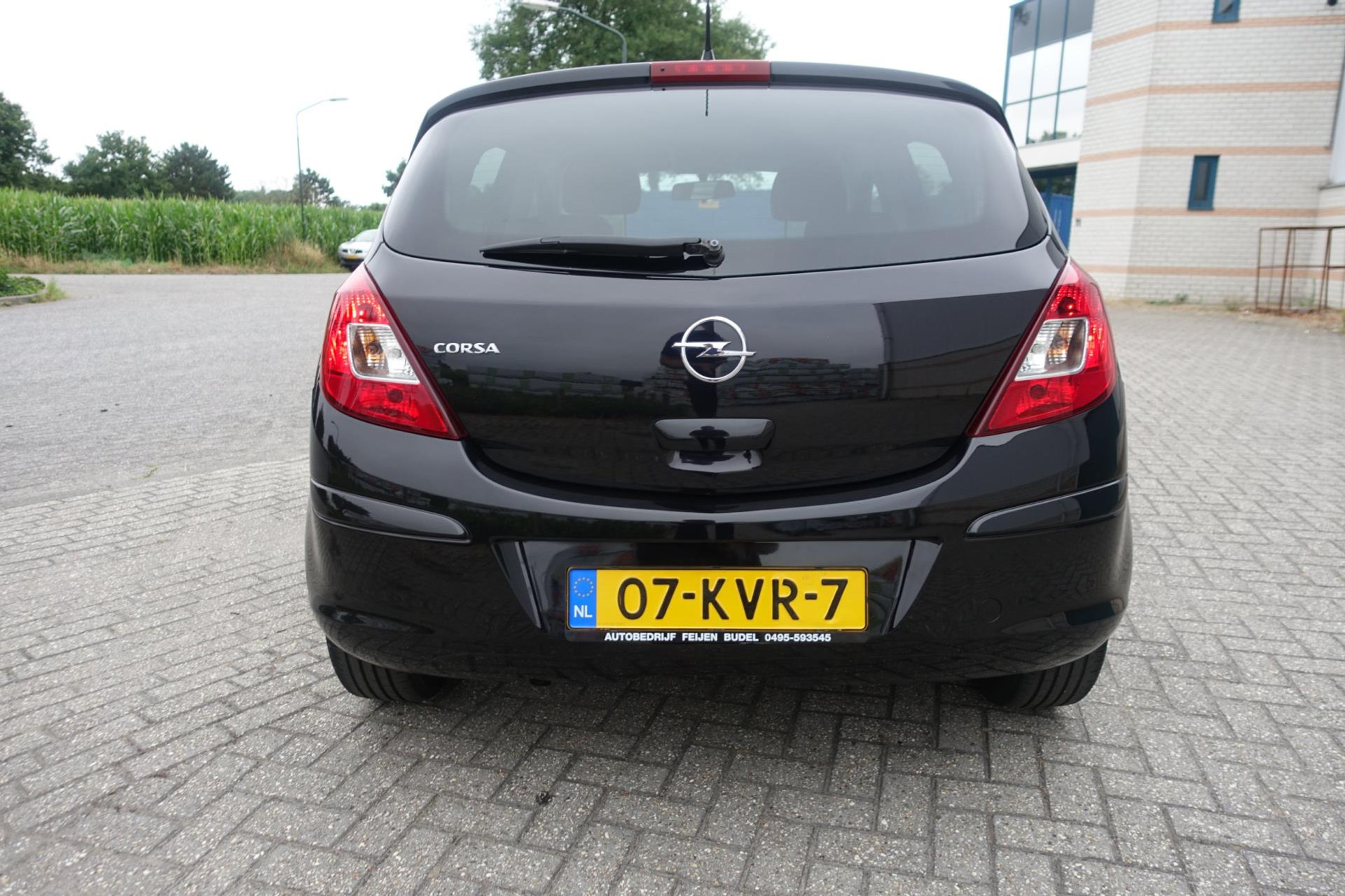 46335564-5.jpg