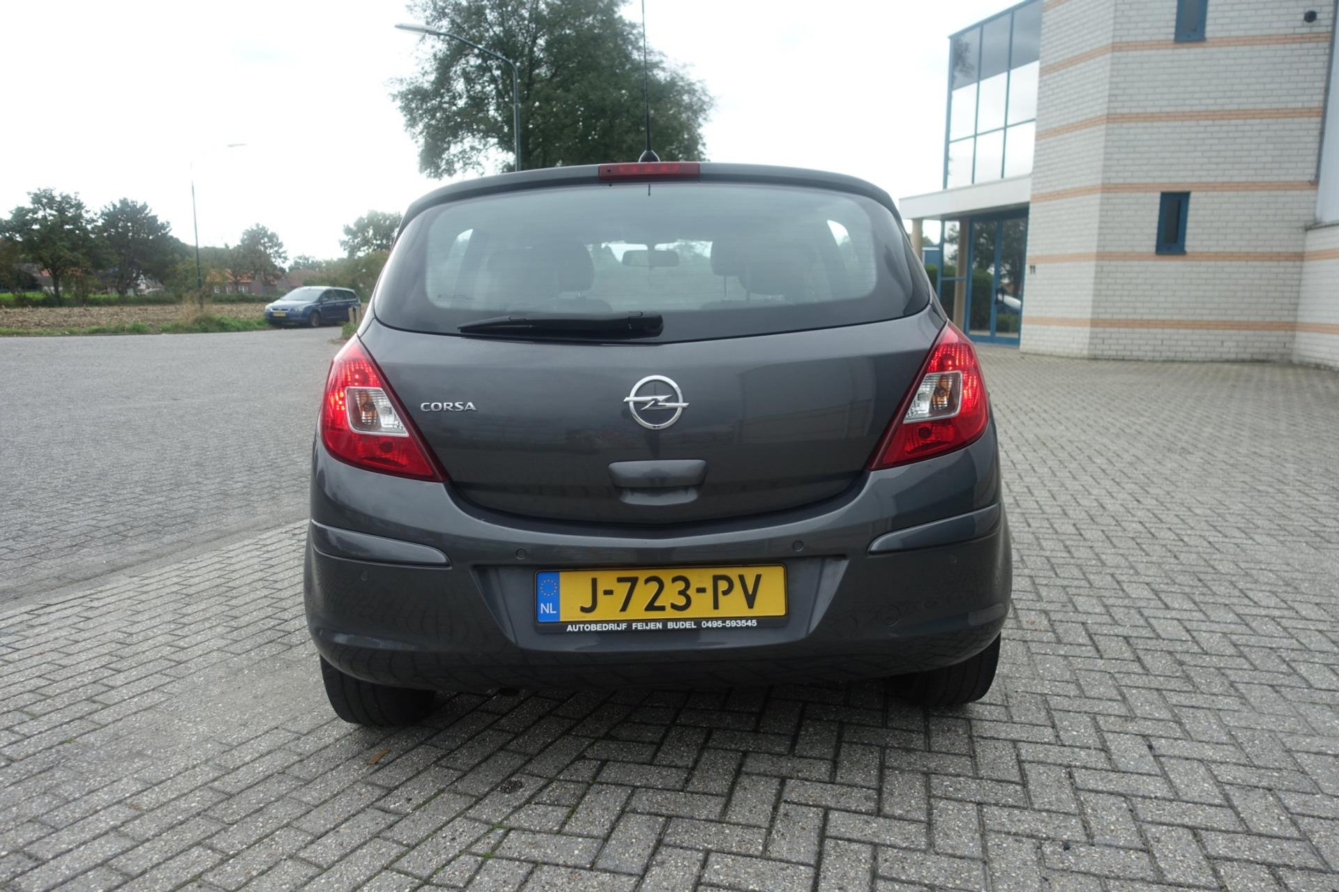 48497834-6.jpg