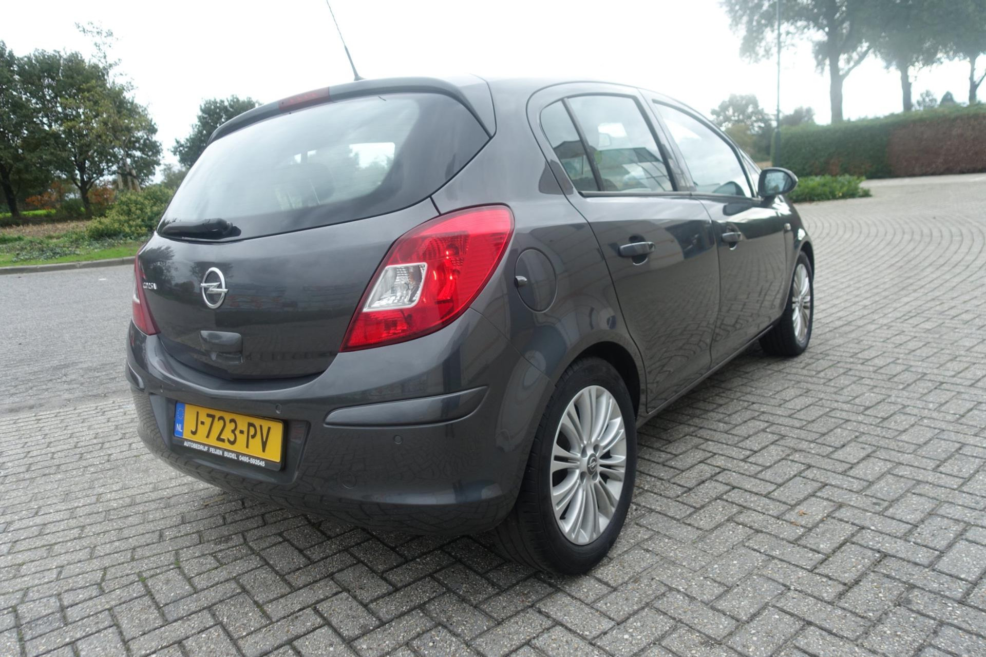 48497834-7.jpg